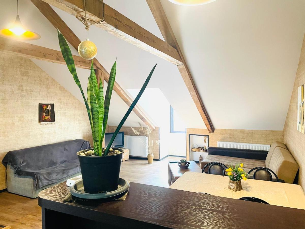 Beautiful Apartment On Atoneli 第比利斯 外观 照片